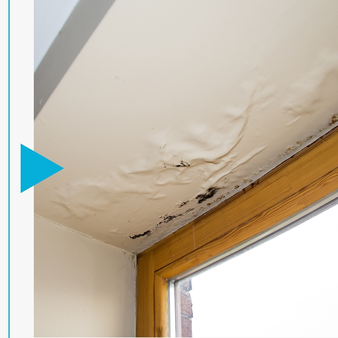 Areas We Serve - Image 4