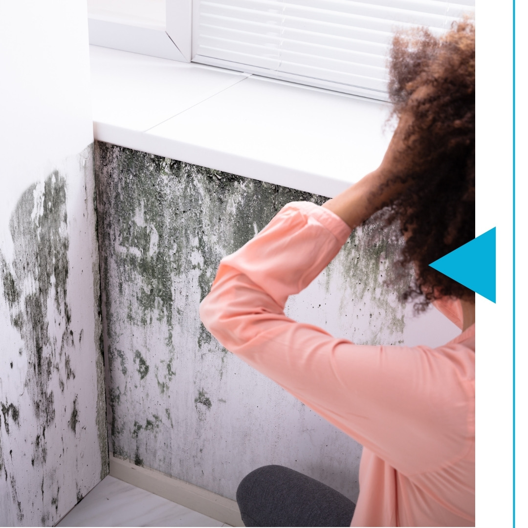 Barry County - Image 1