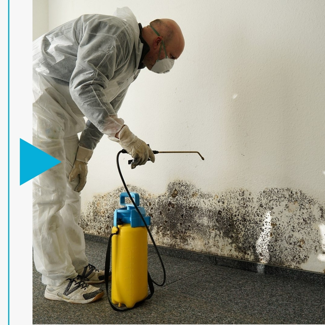 Branson West - Image 2