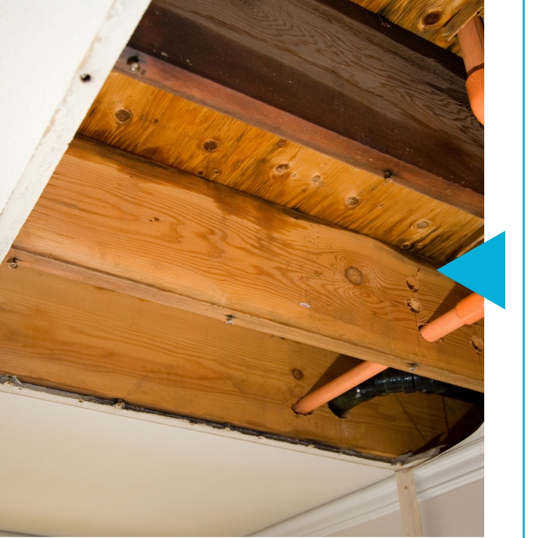 Water damage from pipes