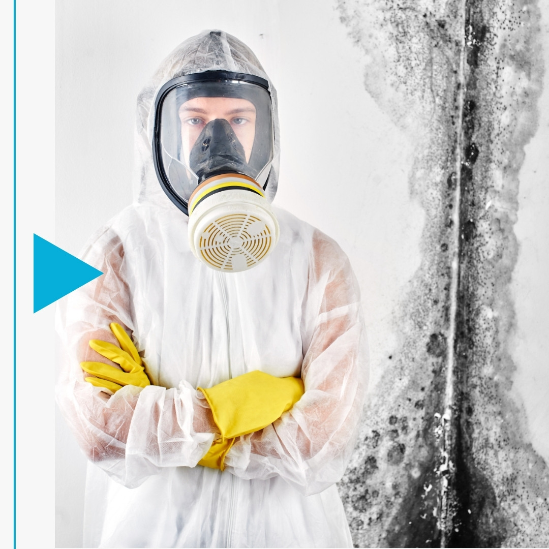 Christian County - Image 2