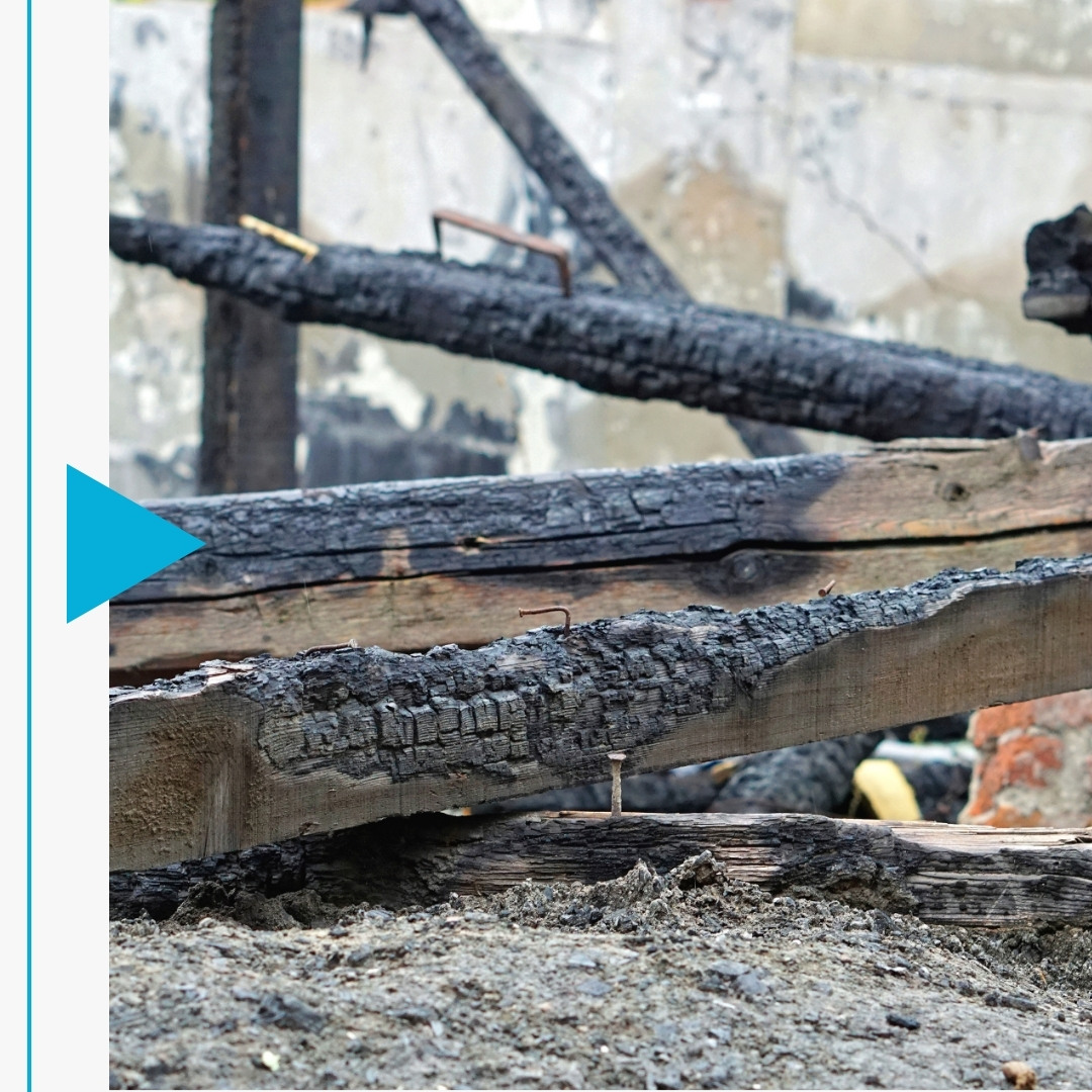 Reed Springs - Image 2