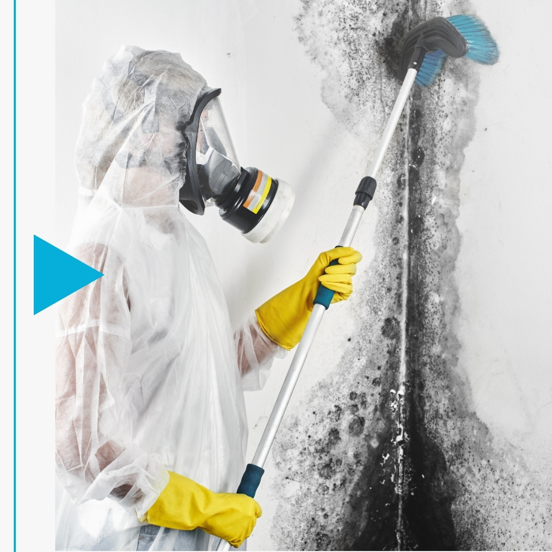 Reed Springs - Image 4