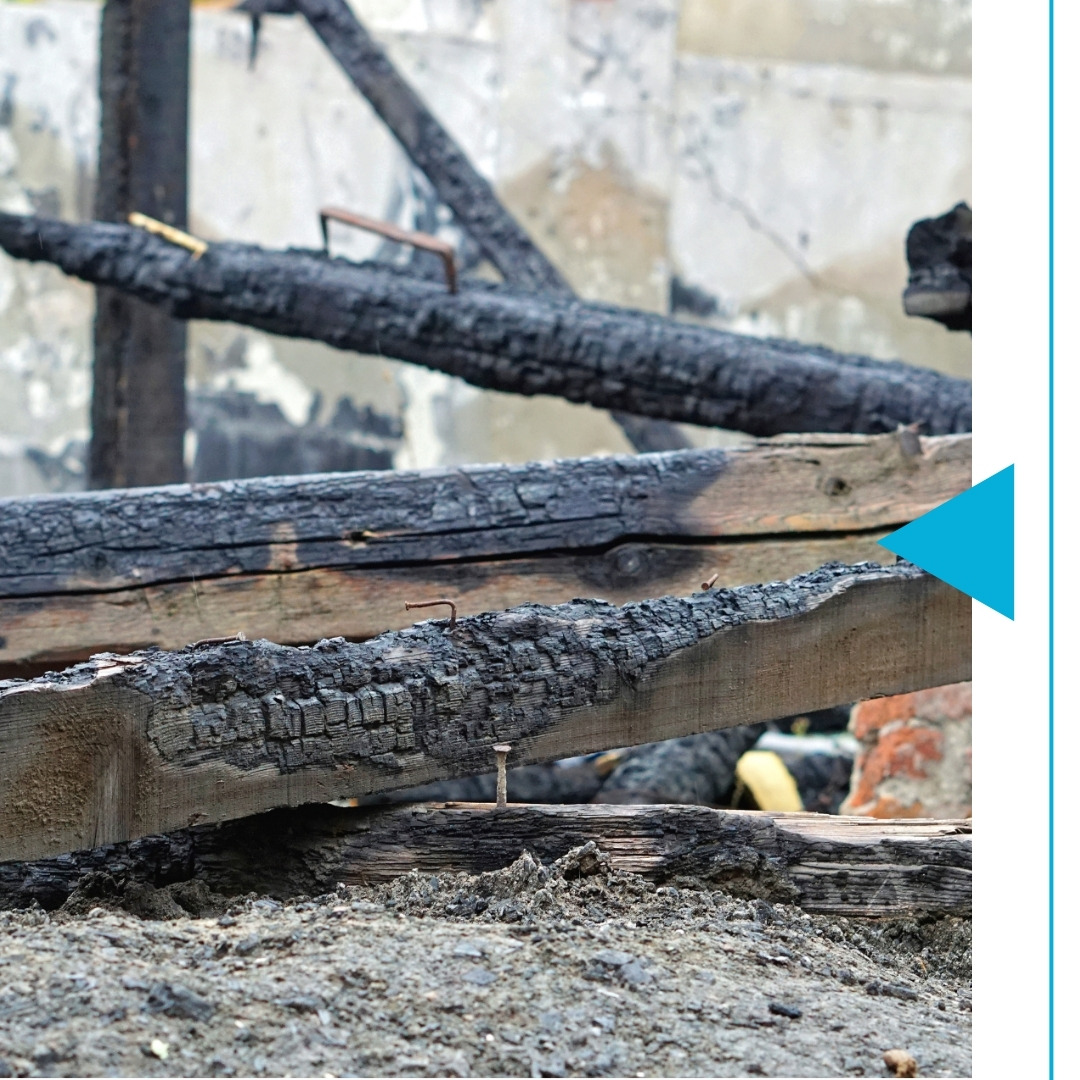 Stone County - Image 1