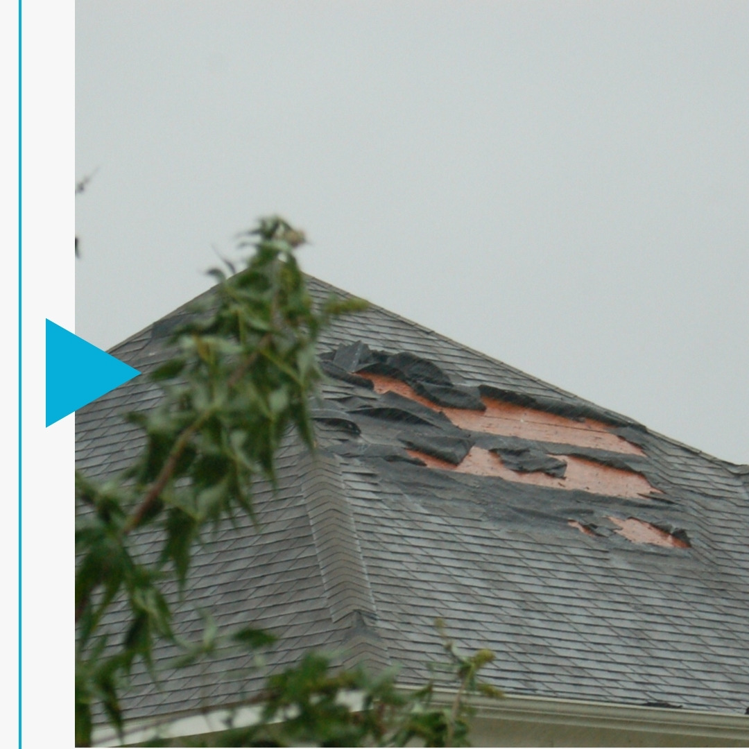 Stone County - Image 2