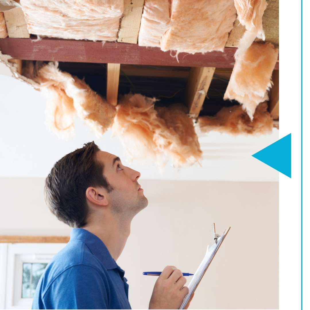 Stone County - Image 3