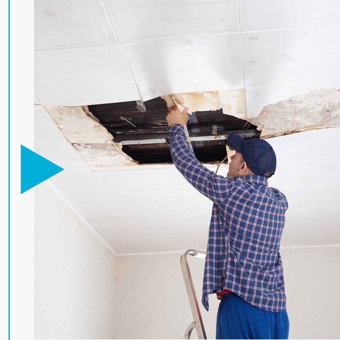 Stone County - Image 4