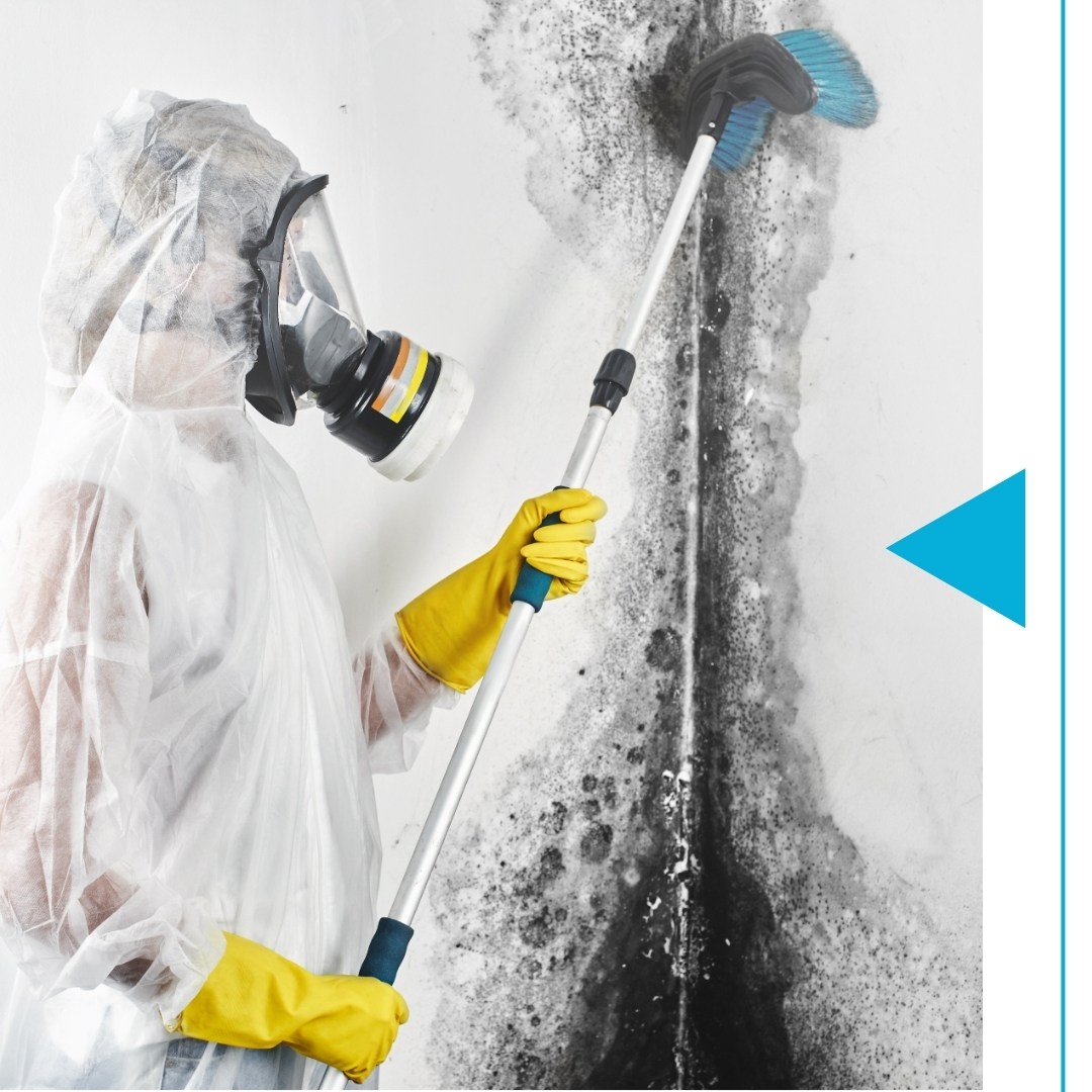 Taney County - Image 1