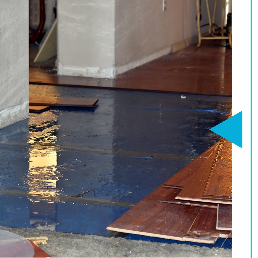 Taney County - Image 3