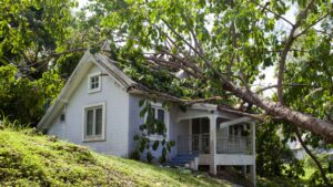 tree on a home from storm damage