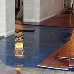 water mitigation services