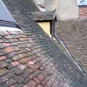 Moldy shingles on a roof