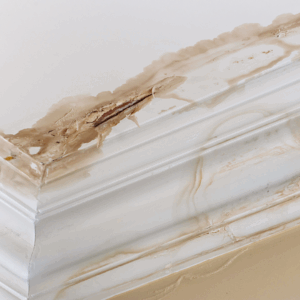 ceiling with water damage